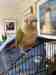 Conure