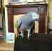 African Grey