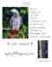 African Grey