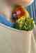 Conure