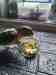 Conure