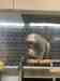 African Grey