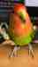 Lovebird