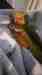 Conure