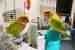 Lovebird