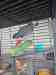 African Grey