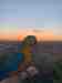 Macaw