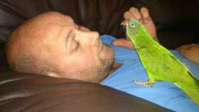 Lost Conure