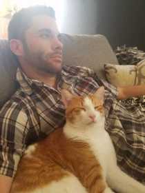 Lost Cat