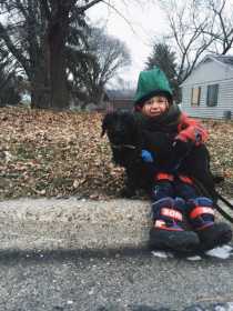 Lost Dog
