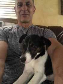 Lost Dog