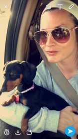 Lost Dog