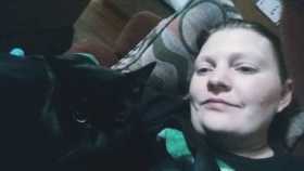 Lost Cat