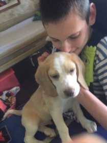 Lost Dog