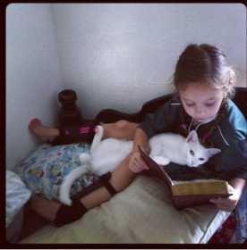Lost Cat