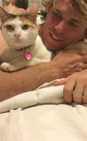 Lost Cat