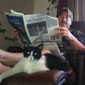 Lost Cat
