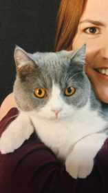 Lost Cat