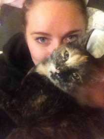 Lost Cat