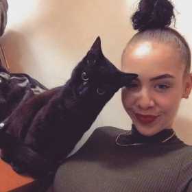 Lost Cat