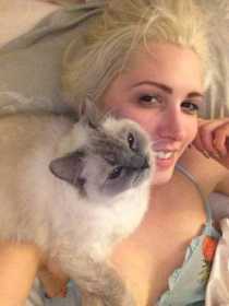 Lost Cat