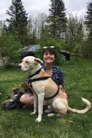Lost Dog