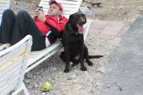 Lost Dog