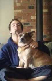Lost Dog