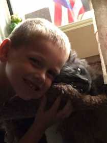 Lost Cat