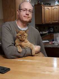 Lost Cat