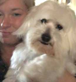 Lost Dog