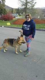 Lost Dog
