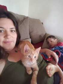 Lost Cat