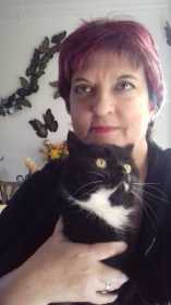 Lost Cat