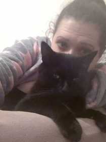Lost Cat