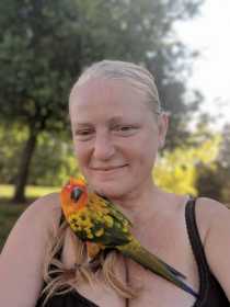 Lost Conure