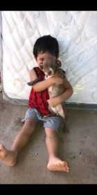 Lost Dog