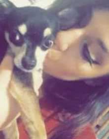 Lost Dog