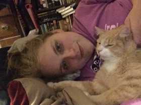 Lost Cat