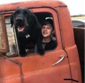 Lost Dog