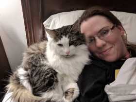 Lost Cat