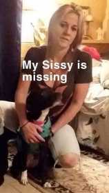 Lost Dog