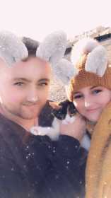 Lost Cat