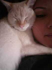 Lost Cat