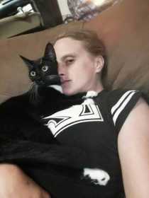 Lost Cat