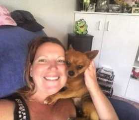 Lost Dog