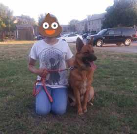 Lost Dog