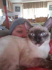 Lost Cat