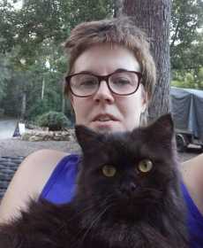 Lost Cat