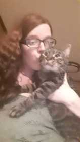 Lost Cat
